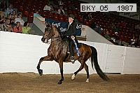 bky_05__1987 thumbnail