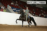 bky_05__1988 thumbnail