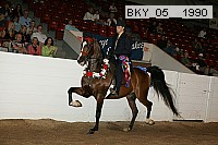 bky_05__1990 thumbnail