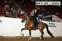 bky_05__2004 thumbnail