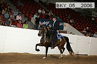 bky_05__2006 thumbnail