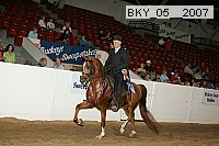 bky_05__2007 thumbnail