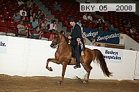 bky_05__2008 thumbnail