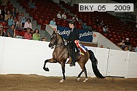 bky_05__2009 thumbnail