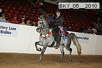 bky_05__2010 thumbnail