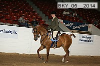 bky_05__2014 thumbnail
