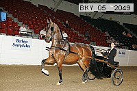 bky_05__2049 thumbnail