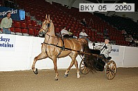 bky_05__2050 thumbnail