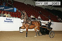 bky_05__2053 thumbnail