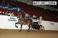 bky_05__2054 thumbnail