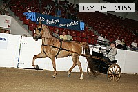 bky_05__2055 thumbnail