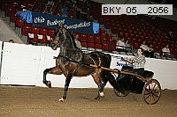 bky_05__2056 thumbnail