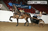 bky_05__2058 thumbnail