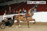 bky_05__2059 thumbnail