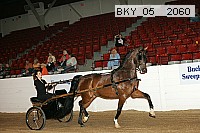 bky_05__2060 thumbnail