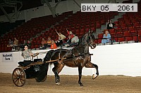 bky_05__2061 thumbnail