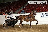 bky_05__2062 thumbnail