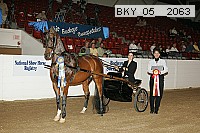 bky_05__2063 thumbnail