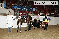 bky_05__2064 thumbnail