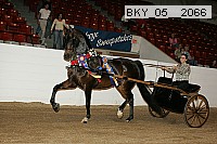 bky_05__2066 thumbnail