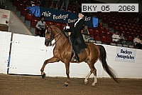 bky_05__2068 thumbnail