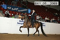 bky_05__2069 thumbnail