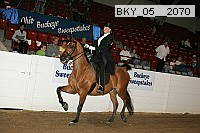 bky_05__2070 thumbnail