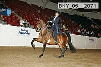 bky_05__2071 thumbnail