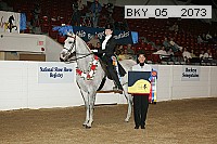 bky_05__2073 thumbnail