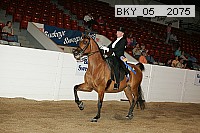 bky_05__2075 thumbnail