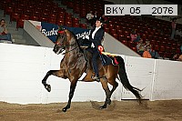 bky_05__2076 thumbnail