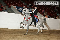 bky_05__2077 thumbnail