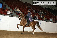 bky_05__2116 thumbnail