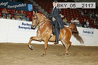 bky_05__2117 thumbnail
