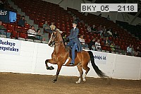 bky_05__2118 thumbnail