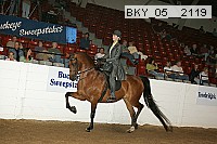 bky_05__2119 thumbnail
