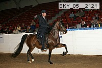 bky_05__2121 thumbnail