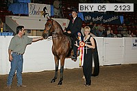 bky_05__2123 thumbnail