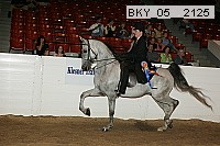 bky_05__2125 thumbnail