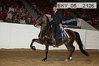 bky_05__2126 thumbnail