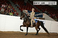 bky_05__2127 thumbnail