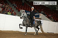 bky_05__2128 thumbnail
