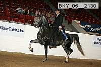 bky_05__2130 thumbnail