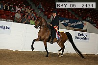 bky_05__2131 thumbnail
