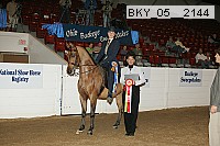bky_05__2144 thumbnail