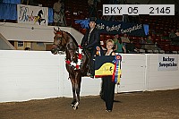 bky_05__2145 thumbnail