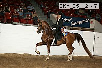 bky_05__2147 thumbnail