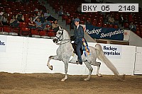 bky_05__2148 thumbnail