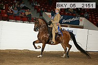 bky_05__2151 thumbnail