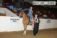bky_05__2153 thumbnail